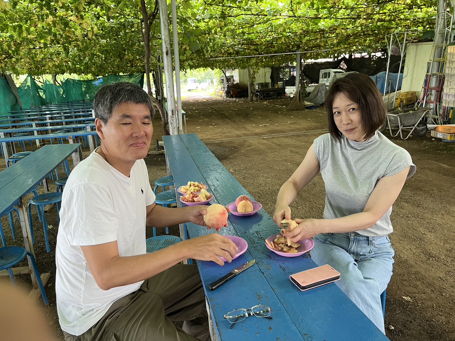 山梨で桃狩り