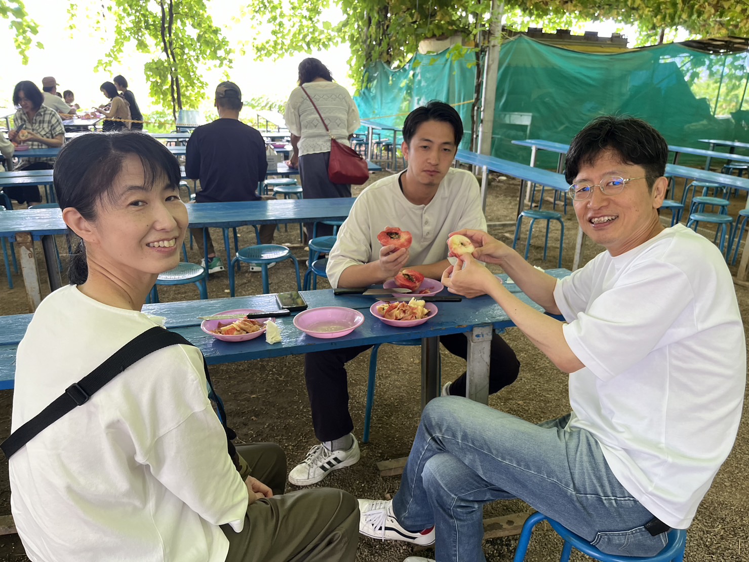 涼しい木陰で冷え冷えの桃を食べ放題