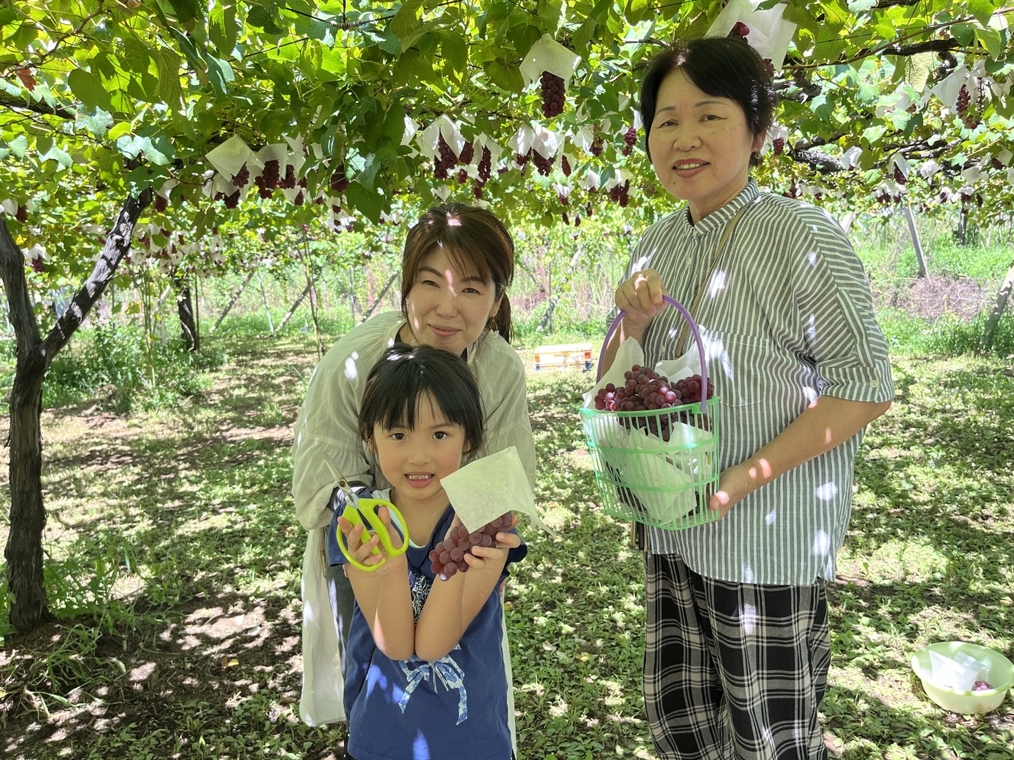 夏休みにみんなでぶどう狩り